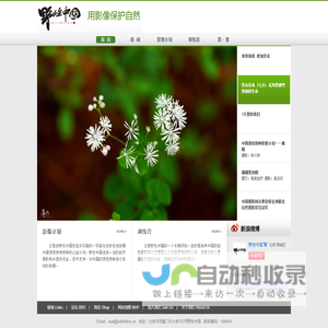 野性中国 · 用影像保护自然